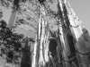 St. Patrick\'s Cathedral, NYC by Dallas Molerin