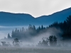 Misty Blue Morning by Van Ruttley